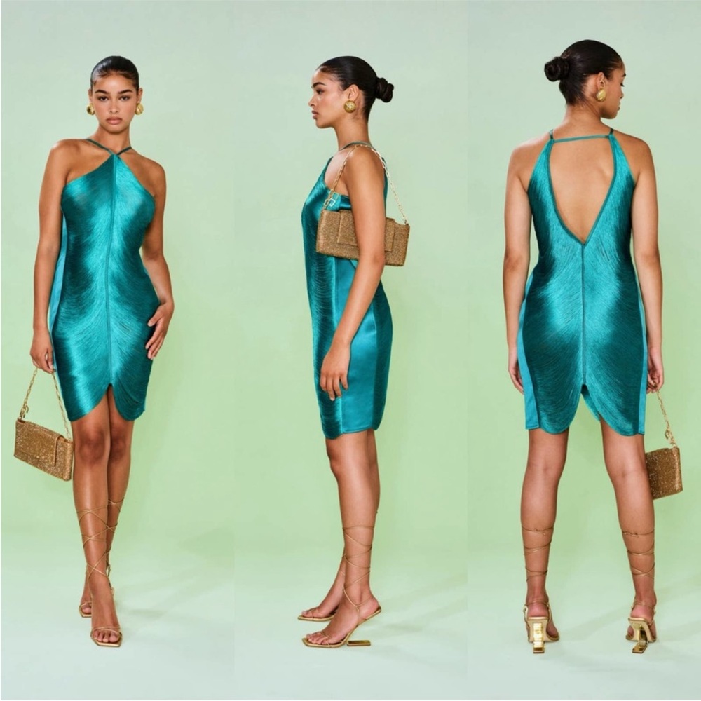 Cult Gaia Mara Fringe Mini Dress in Erba Size Medium $998 MSRP - Picture 3 of 16